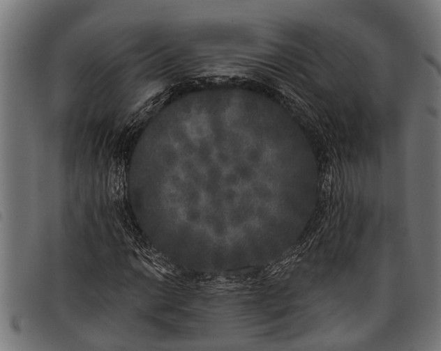 X0000097811014200803281053