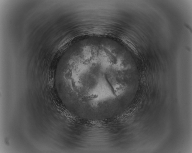 X0000097811015200803281053