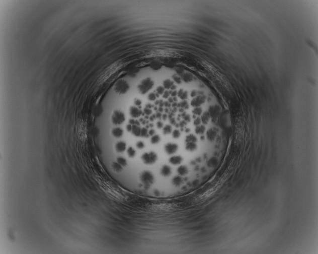 X0000097811017200803281053