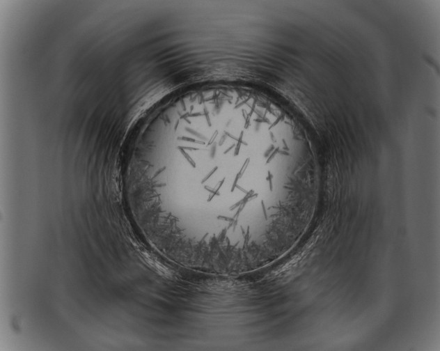 X0000097811018200803281053