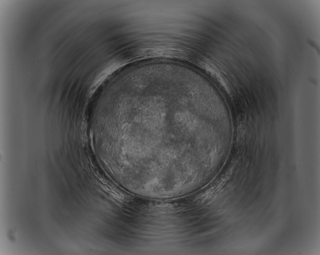 X0000097811019200803281053