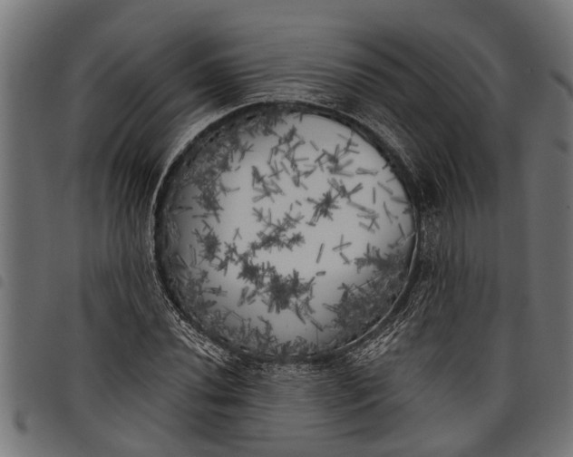 X0000097811020200803281053