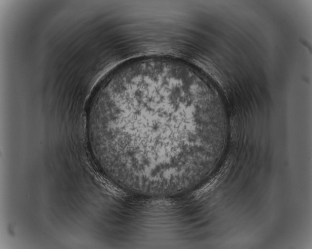 X0000097811021200803281053