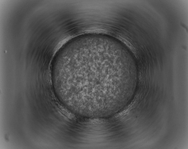 X0000097811022200803281053