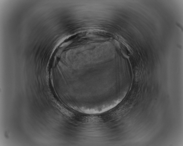 X0000097811024200803281053