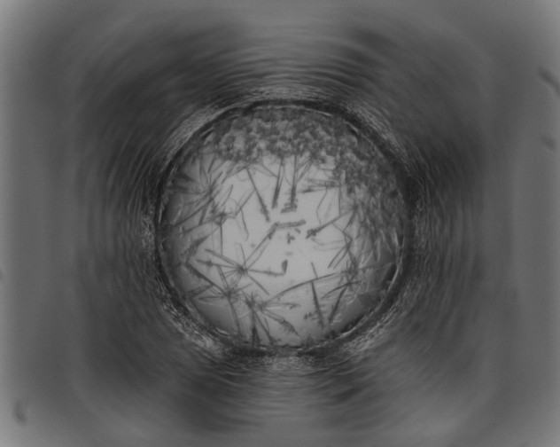 X0000097811025200803281053