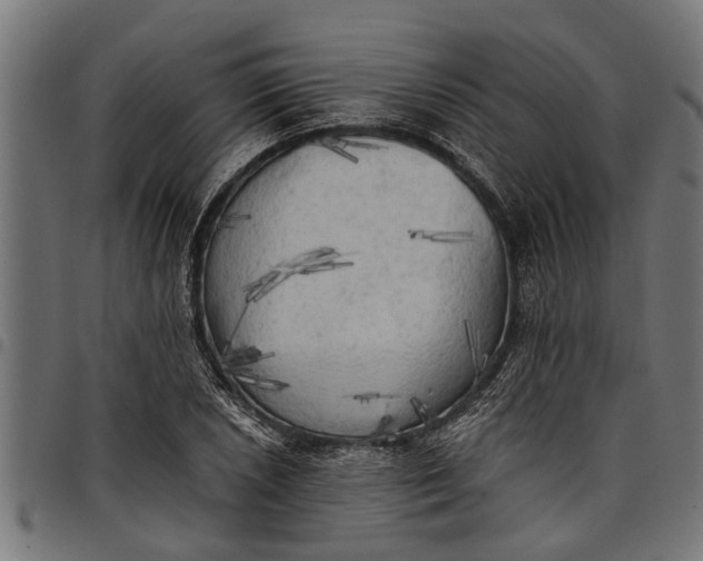 X0000097811026200803281053