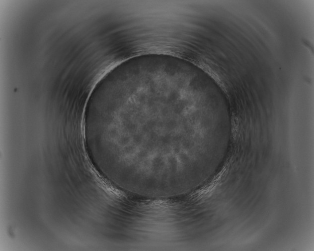 X0000097811028200803281053