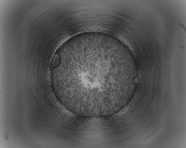 X0000097811029200803281053