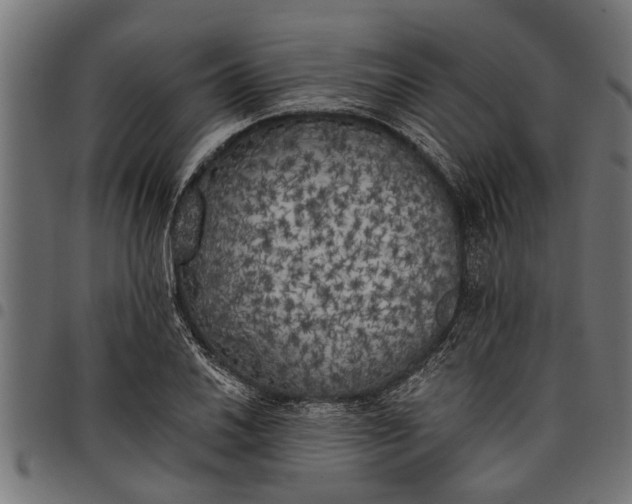 X0000097811030200803281053