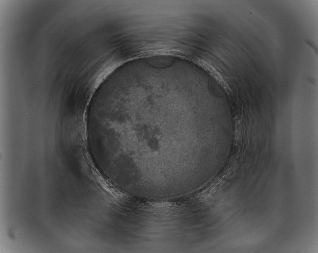 X0000097811031200803281053