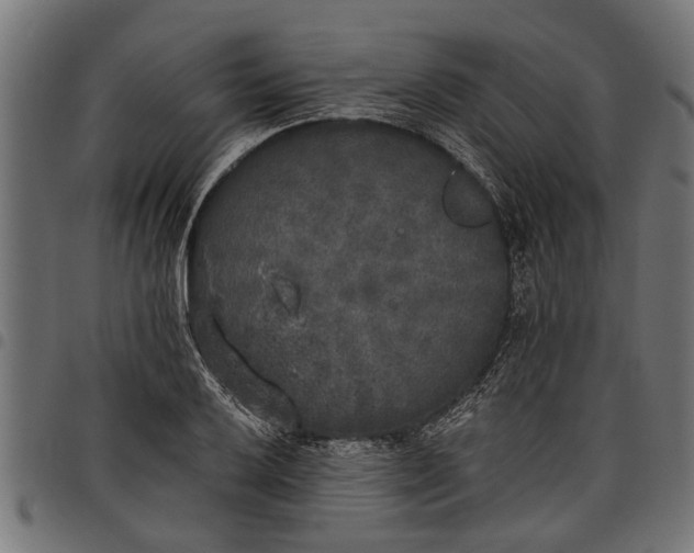 X0000097811032200803281053