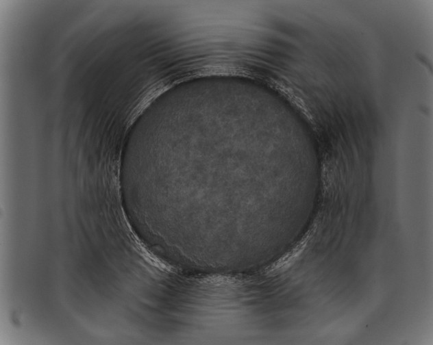 X0000097811033200803281053