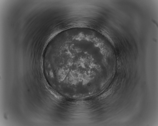 X0000097811035200803281053