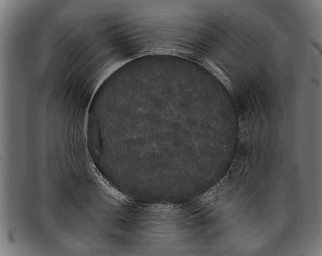 X0000097811036200803281053