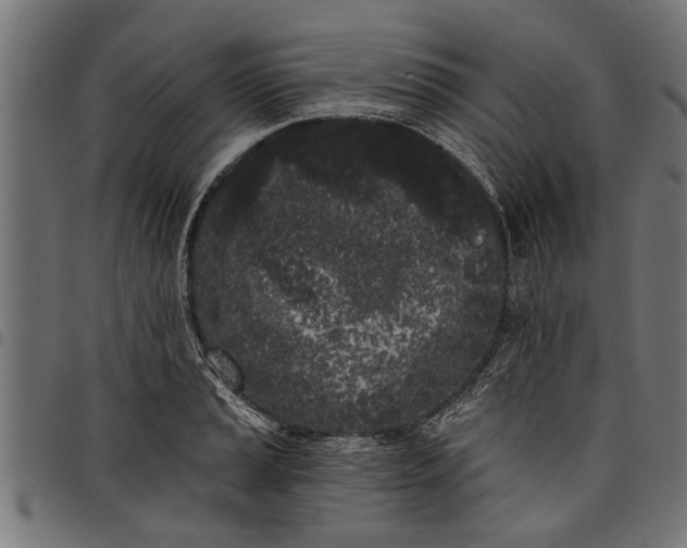 X0000097811037200803281053