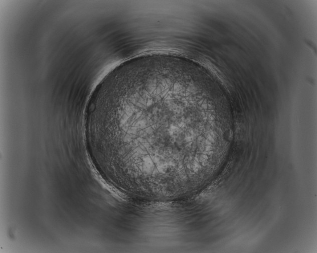 X0000097811038200803281053