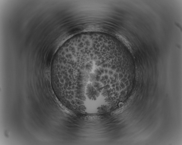 X0000097811041200803281053