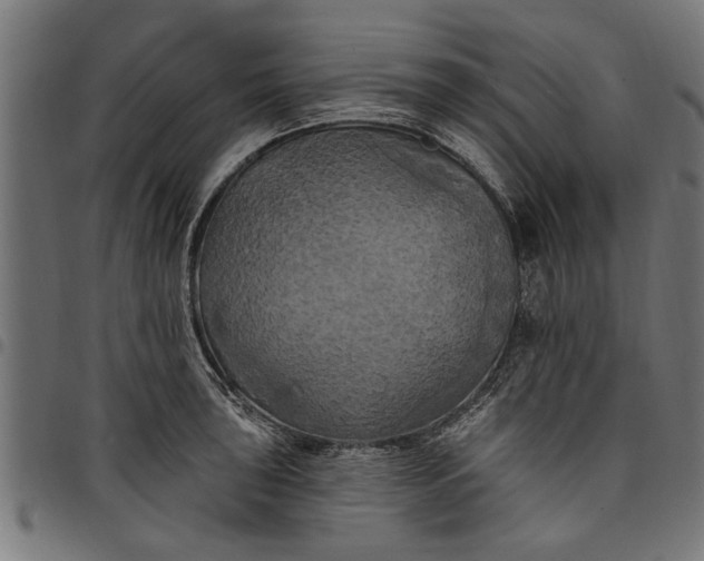 X0000097811043200803281053