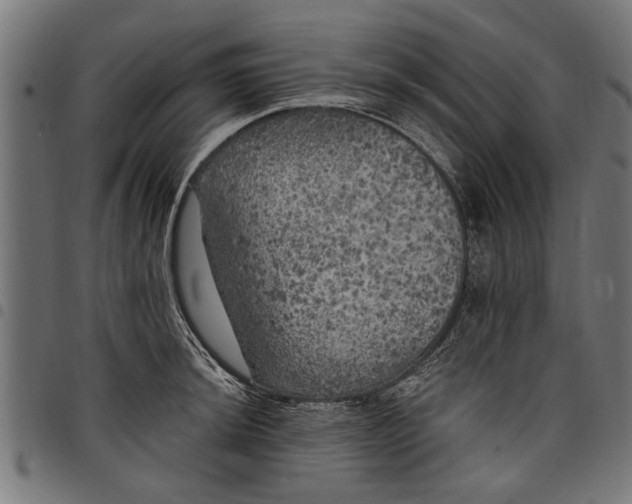 X0000097811044200803281053