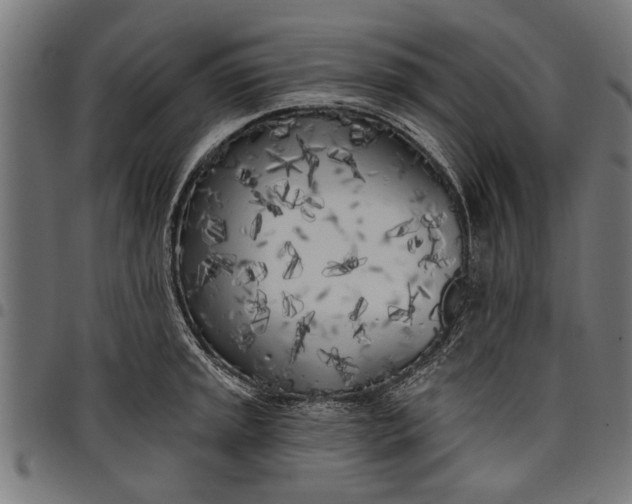 X0000097811045200803281053