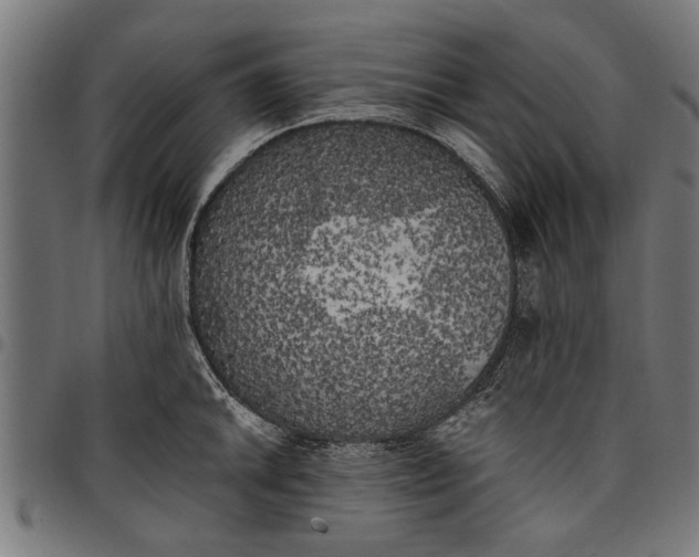 X0000097811046200803281053