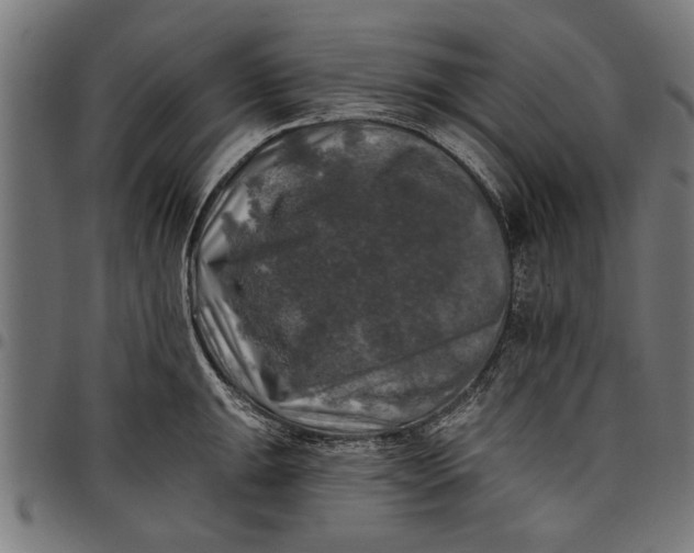 X0000097811047200803281053