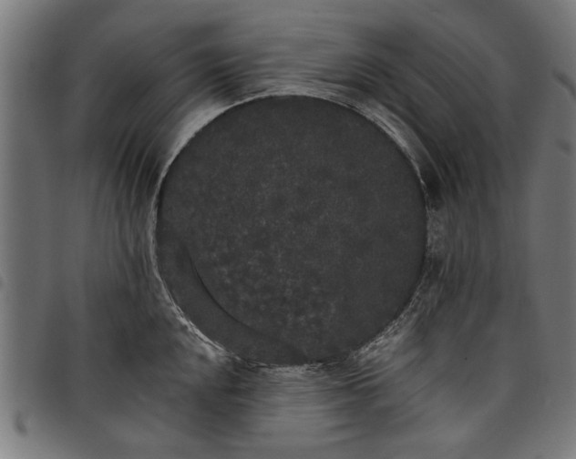 X0000097811048200803281053