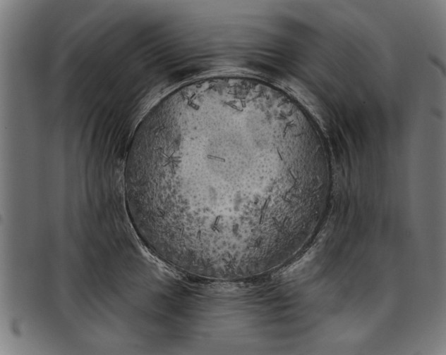 X0000097811049200803281054