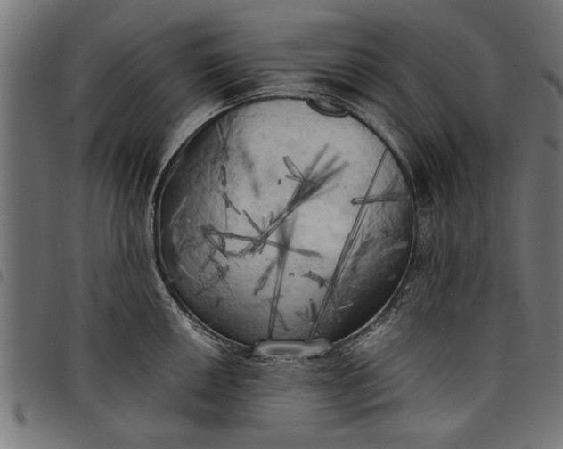 X0000097811050200803281054