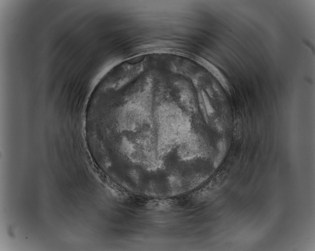 X0000097811051200803281054