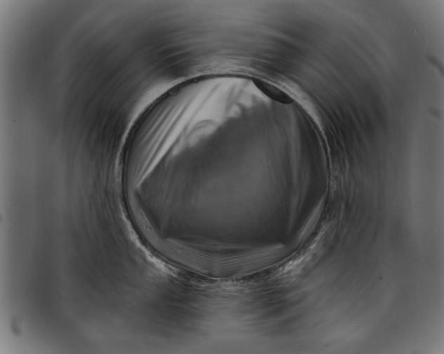 X0000097811053200803281054