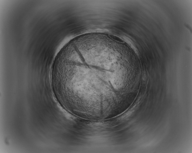 X0000097811054200803281054