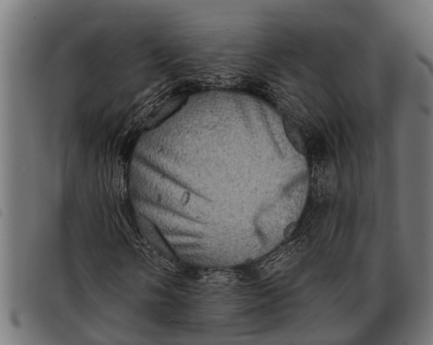 X0000097811058200803281053