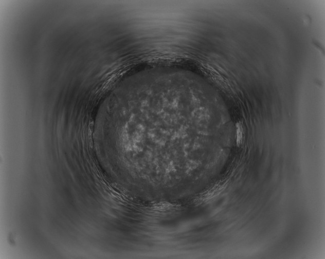 X0000097811059200803281053