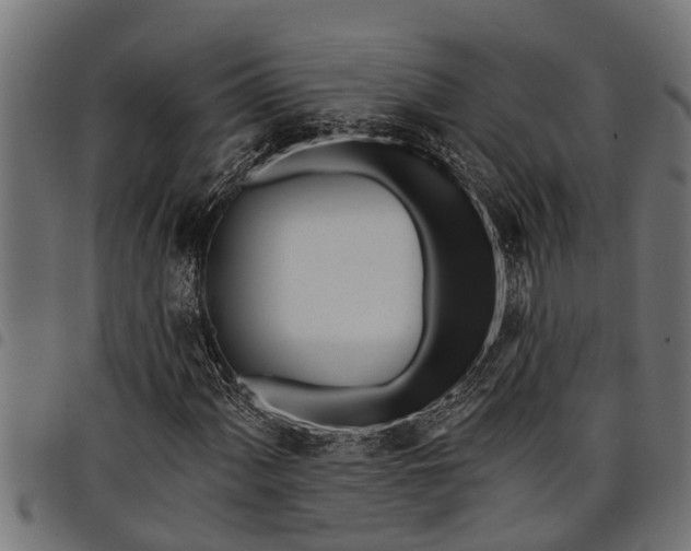 X0000097811060200803281053