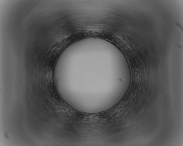 X0000097811061200803281053