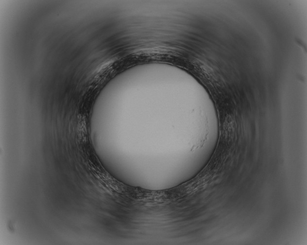 X0000097811062200803281053