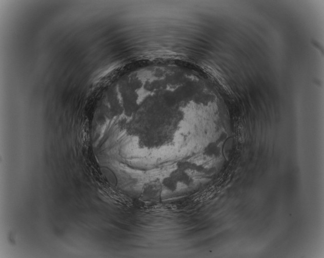 X0000097811063200803281053