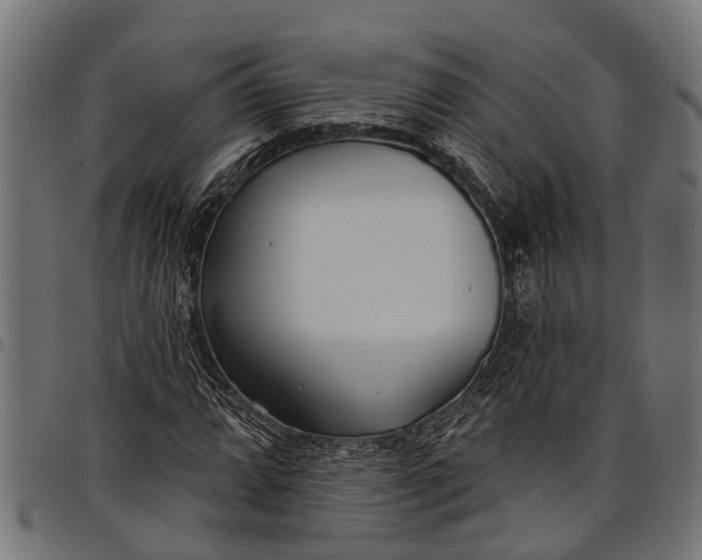 X0000097811064200803281053