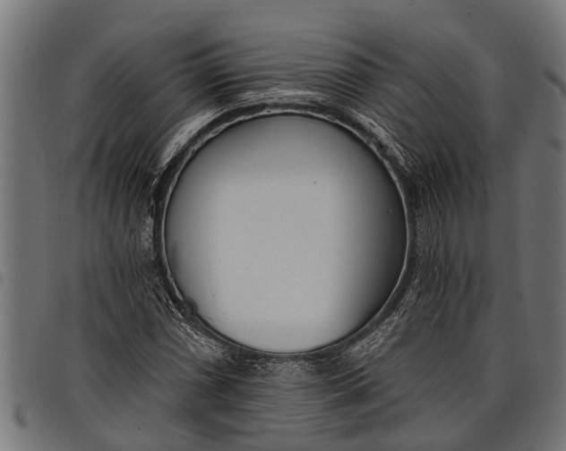 X0000097811066200803281053