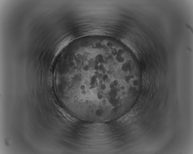 X0000097811067200803281053