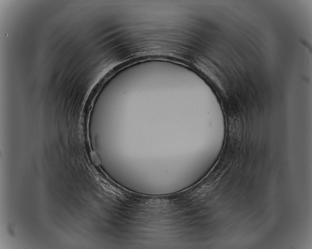 X0000097811068200803281053