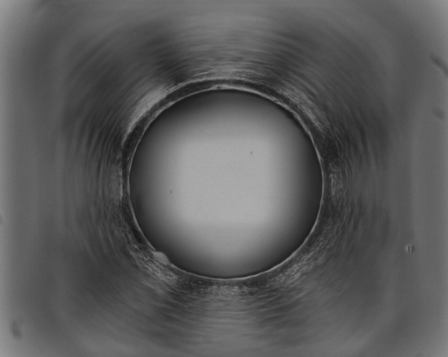 X0000097811069200803281053