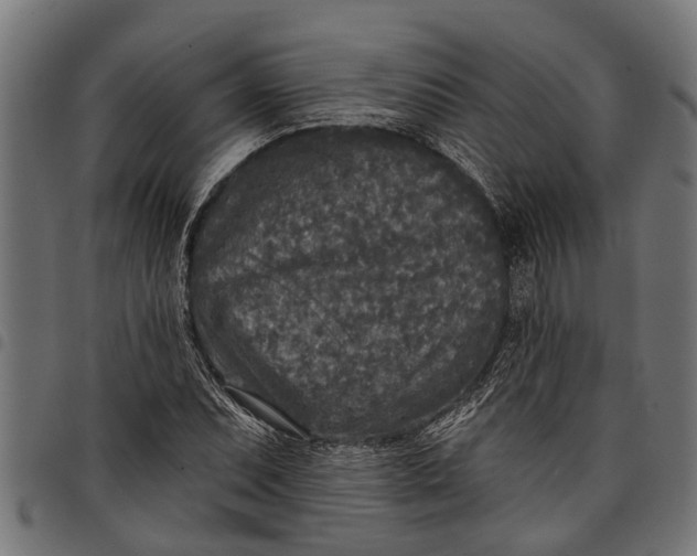 X0000097811071200803281053