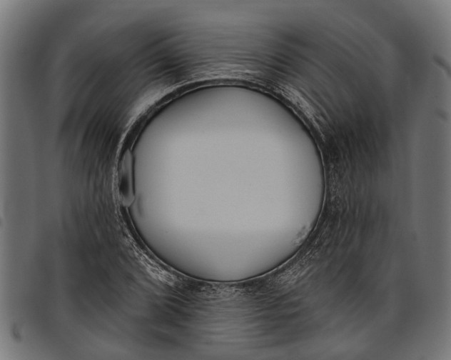 X0000097811072200803281053