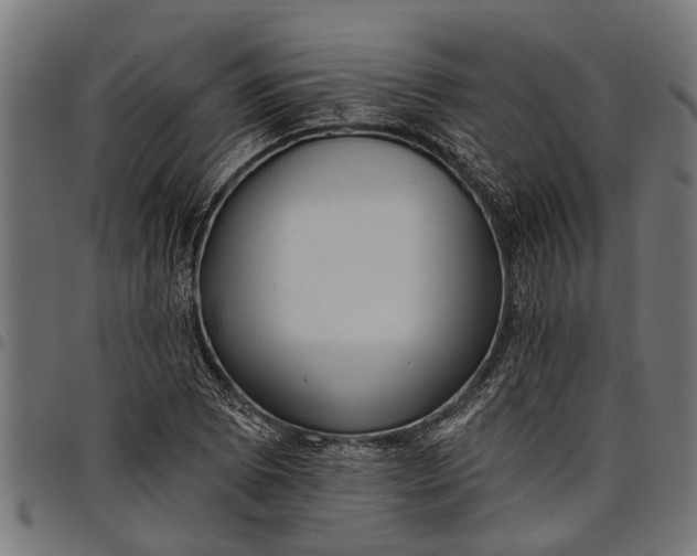 X0000097811073200803281053