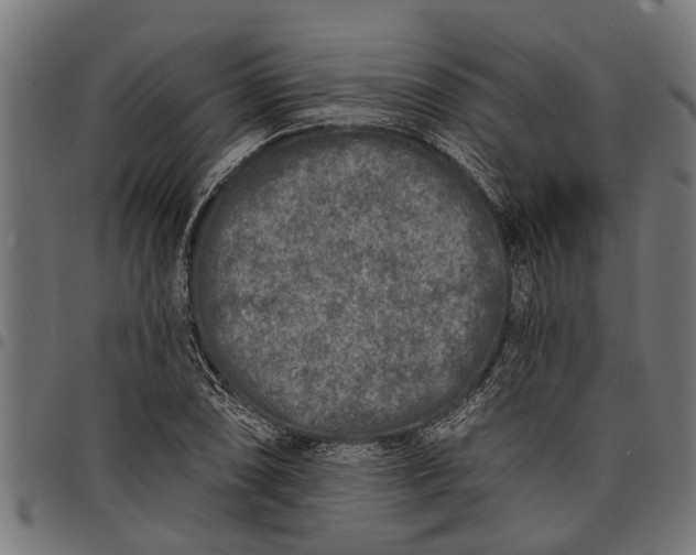 X0000097811074200803281053