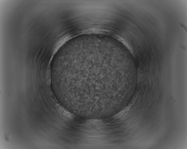 X0000097811075200803281053