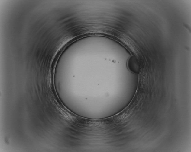 X0000097811076200803281053